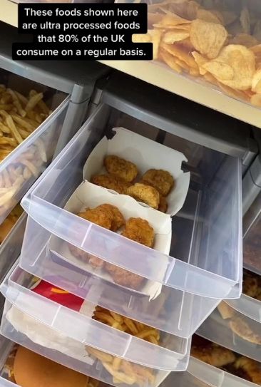 Makanan Siap Saji Disimpan 2 Tahun untuk Penelitian