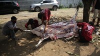 Sebanyak 6.000 kantong daging hewan kurban dibagikan kepada masyarakat dengan cara dari pintu ke pintu. 