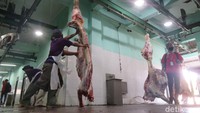 Kepala Dinas Pertanian dan Pangan Kota Yogyakarta Suyana mengatakan, Pascaperayaan Idul Adha di masa Pemberlakuan Pembatasan Kegiatan Masyarakat PPKM (Darurat) pemotongan menjadi 75 ekor perharinya. Sehingga total menyembelih 225 ekor sapi dan 80 ekor domba selama 3 hari.