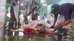 RPH Giwangan Yogya Over Kapasitas Selama 3 Hari