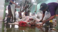 Dia harus menerjunkan tambahan pasukan. Memanggil sejumlah juru sembelih hewan yang tersebar di setiap wilayah untuk fokus di RPH Giwangan. 