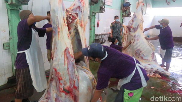 RPH Giwangan Yogya Over Kapasitas Selama 3 Hari