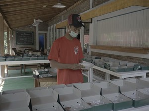 Patut Dicontoh! Sebisanya Salurkan Makanan untuk Warga Isoman di Sleman