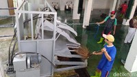 Hanya sapi dengan berat tak lebih dari 500 kg yang bisa masuk di alat ini. 