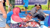 Badan Pengeloala Keuangan Haji (BPKH) RI melalui Program Kemaslahatan BPKH Berkah Qurban 1442 H, menyalurkan hewan kurban sebanyak 1.000 ekor sapi yang tersebar di lebih dari 840 titik di 34 provinsi seluruh Indonesia, pada momentum Hari Raya Idul Adha 1442 H.