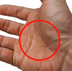 Tes Kepribadian: Punya Tanda Spesial Huruf X di Telapak Tangan? Ini Artinya Tes Kepribadian: Punya Tanda Spesial Huruf X di Telapak Tangan? Ini Artinya