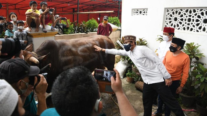 Upaya Kobarkan Semangat Lawan COVID-19 ala Sandiaga Uno Sandiaga menyampaikan, momentum Idul Adha dapat bisa dimanfaatkan untuk ihwal nilai-nilai ketabahan, patuh, dan kesabaran di masa Pandemi COVID-19.