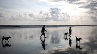 KARANGASEM, BALI, INDONESIA - SEPTEMBER 30: A view of abandoned  hotel as emptied of tourists at Tulamben beach on September 30, 2017 in Karangasem regency, Island of Bali, Indonesia. Indonesian authorities declared a state of emergency as hundreds of tremors are recorded at Balis Mount Agung volcano and around 140,000 villagers evacuated their homes. Authorities issued travel warnings for the popular tourist destination and warned Mount Agung has the potential to erupt imminently although flights to Bali and its main tourist areas remain unaffected for now. (Photo by Ulet Ifansasti/Getty Images)