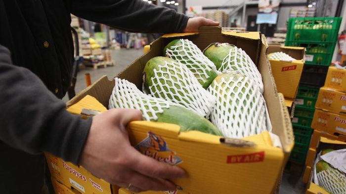 Catat Gaes, Ini Deretan Buah yang Bagus untuk Pasien COVID-19 Mengonsumsi makanan sehat jadi kunci utama perkuat imun tubuh guna lawan virus Corona. Ini deretan buah yang bagus untuk dikonsumsi saat positif COVID-19.