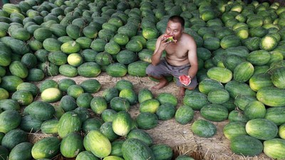 Catat Gaes, Ini Deretan Buah yang Bagus untuk Pasien COVID-19