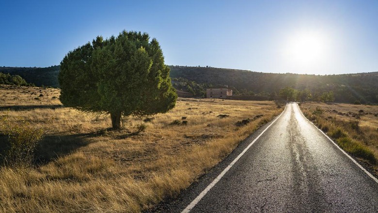Pinares de Rodeno pine forest in Sierra de Albarracin of Teruel Aragon in Spain
