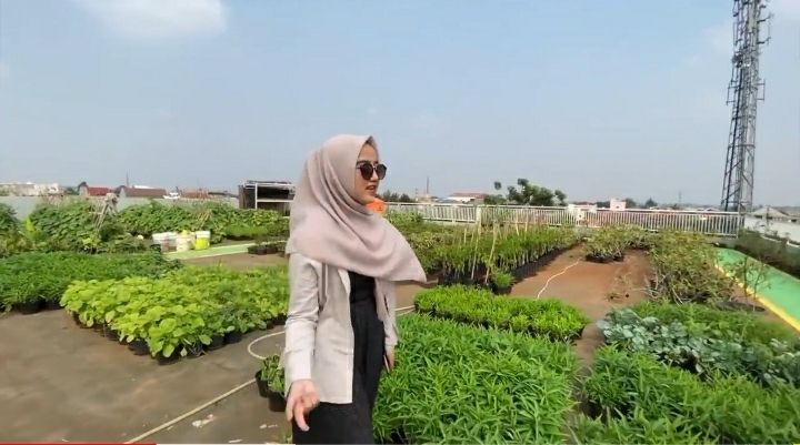 Hobi Berkebun, Ustaz Yusuf Mansur Punya Kebun Sayur di Rooftop Rumahnya