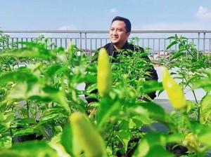 Hobi Berkebun, Ustaz Yusuf Mansur Punya Kebun Sayur di Rooftop Rumahnya