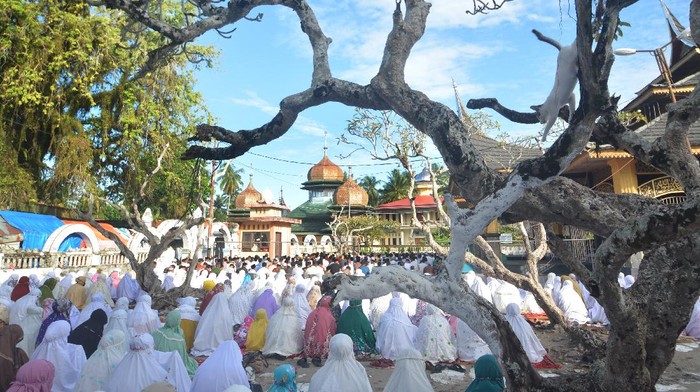 Jamaah Syattariyah di Sumbar Gelar Salat Idul Adha Hari Ini Jamaah tarekat Syattariyah gelar Salat Idul Adha hari ini. Pelaksanaan salat Idul Adha itu didasarkan penentuan 10 dzulhijjah berdasar bilangan takwim khamsiah.