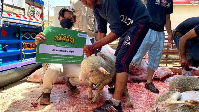Kurban untuk Pengungsi Palestina Di tengah pandemi semangat berkurban bagi mereka masyarakat yang berkecukupan untuk berqurban tidak pernah surut.