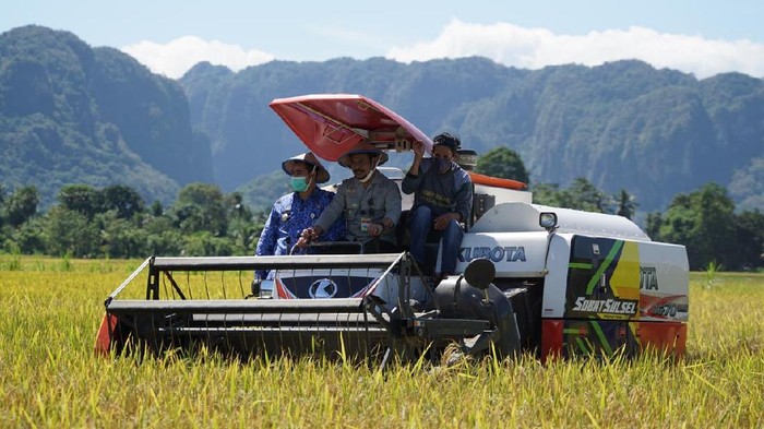 Mentan Syahrul Yasin Limpo
