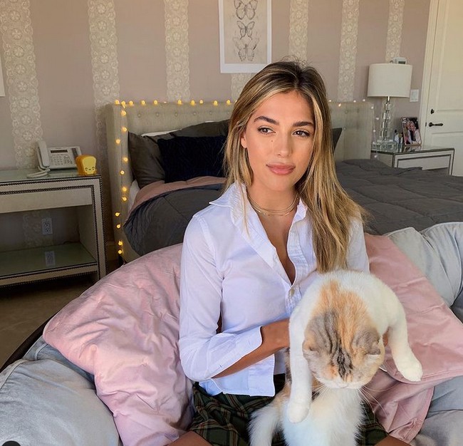 Film terbaru Sisten adalah Midnight in the Switchgrass. Foto: Instagram