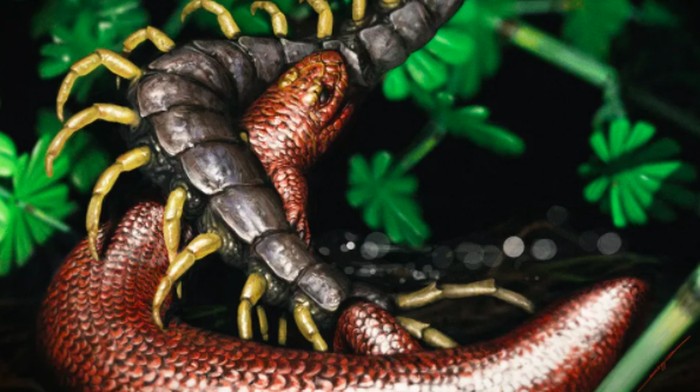Reptil