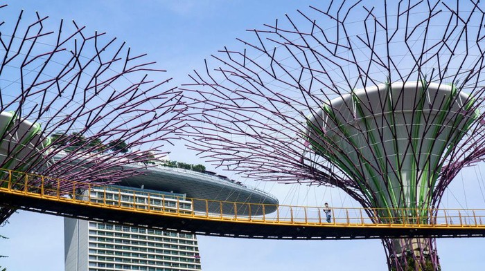 Singapura Lockdown Lagi di Tengah Wacana Damai dengan COVID Singapura kembali memperketat pembatasan imbas lonjakan jumlah kasus COVID-19 beberapa hari terakhir. Padahal hampir 3 minggu Singapura membuka roadmap hidup berdampingan dengan COVID-19.