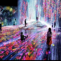 Sejak didirikan pada 2018, teamLab Borderless langsung menjadi destinasi wisata favorit, baik di kalangan turis domestik maupun mancanegara. Hanya dalam satu tahun, museum seni yang dilengkapi fitur berteknologi tinggi ini masuk dalam daftar World’s Greatest Places 2019 versi Majalah Time. Foto: Instagram/@teamlab_borderless