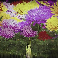 Museum interaktif ini pun jadi tempat favorit sejumlah selebriti ternama dunia. Will Smith dan Kim Kardashian diketahui pernah mengunjungi teamLab Borderless saat bertandang ke Jepang. Foto: Instagram/@teamlab_borderless