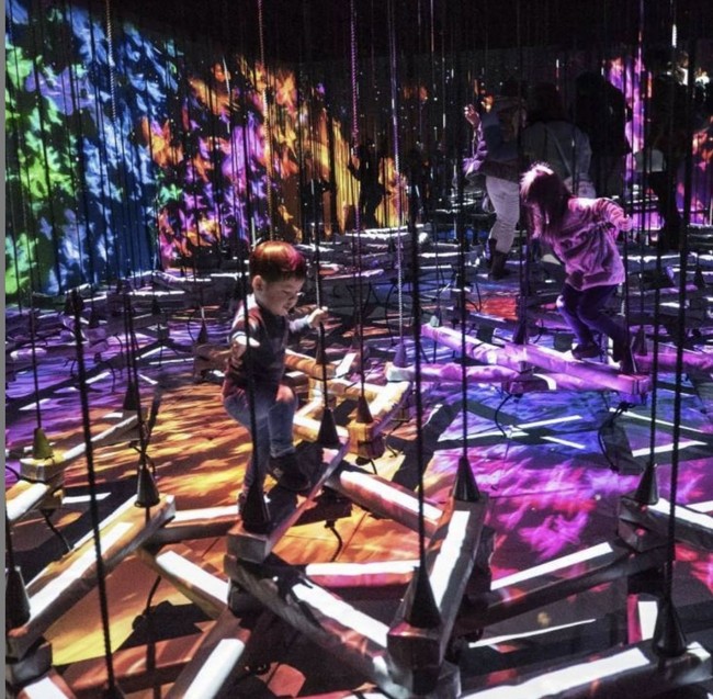 Ada sekitar 50 karya digital yang terbagi dalam 5 area. Menariknya, semua karya tersebut diciptakan dari jaringan 520 komputer dan 470 proyektor hologram canggih. Foto: Instagram/@teamlab_borderless