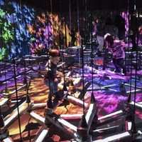 Ada sekitar 50 karya digital yang terbagi dalam 5 area. Menariknya, semua karya tersebut diciptakan dari jaringan 520 komputer dan 470 proyektor hologram canggih. Foto: Instagram/@teamlab_borderless