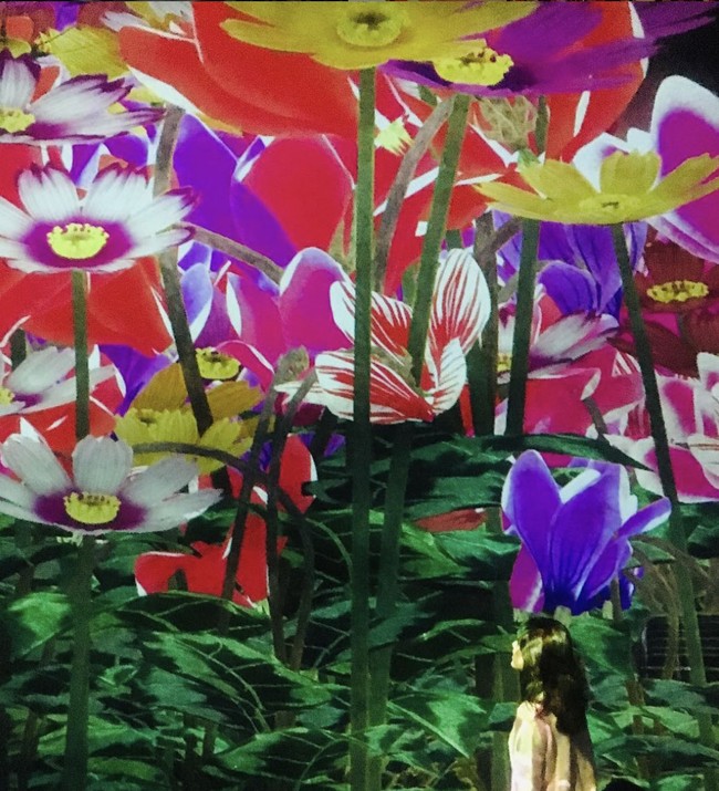 Lewat perkembangan iptek, pihak teamLab menggabungkan seni dengan tekonologi dan menciptakan karya segar di atas lahan dua lantai seluas 10.000 meter persegi. Foto: Instagram/@teamlab_borderless