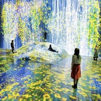 Kini di tengah pandemi virus Corona, teamLab Tokyo atau disebut juga teamLab Borderless kembali menuai prestasi. Guinness World Records mencatat bahwa sepanjang 2019, sudah 2.198.284 orang yang mengunjungi museum seni tersebut. Foto: Instagram/@teamlab_borderless