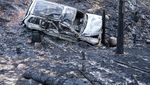 Jejak Kebakaran Hebat yang Menghanguskan Hutan di Barat Amerika