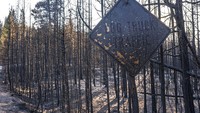 Peringatan untuk potensi dan aktivitas kebakaran yang meningkat telah dikeluarkan di seluruh Idaho, California, Oregon dan Northern Rockies, menurut pejabat pusat kebakaran.
