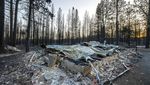 Jejak Kebakaran Hebat yang Menghanguskan Hutan di Barat Amerika