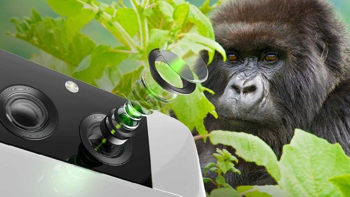 Corning Gorilla Glass DX dan DX+ untuk pelindung lensa kamera ponsel.