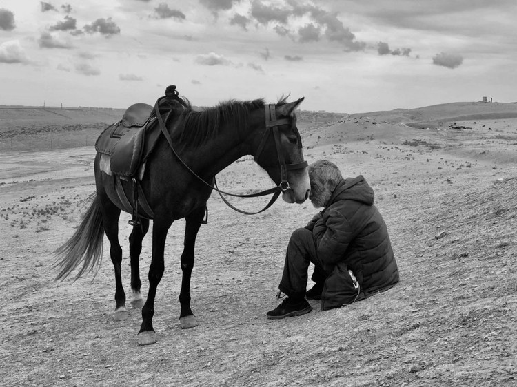 iPhone Photography Awards 2021