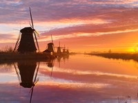 iPhone Photography Awards 2021