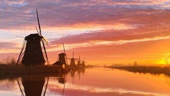 A Dutch Morning karya Claire Droppert menjuarai kategori Sunset. Foto ini diambil menggunakan iPhone 11 Pro Max. Foto: Claire Droppert/iPhone Photography Awards 2021