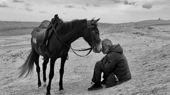 Bonding karya Sharan Shetty memenangkan kategori Photographer of the Year. Foto ini diambil menggunakan iPhone X. Foto: Sharan Shetty/iPhone Photography Awards 2021