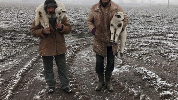 Transylvanian Shepherds karya Istvan Kerekes dinobatkan menjadi Grand Prize Winner. Foto ini diambil menggunakan iPhone 7. Foto: Istvan Kerekes/iPhone Photography Awards 2021