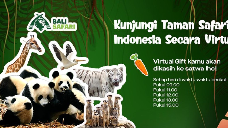 Jadwal tayang Taman Safari Indonesia di GoPlay Jadwal tayang Taman Safari Indonesia di GoPlay