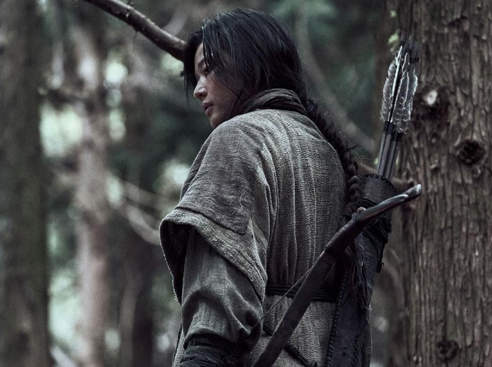 Kingdom: Ashin of the North