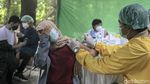 Momen Vaksinasi di Dalam Hutan ala Mahasiswa UGM