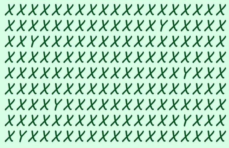 Uji mata cari perbedaan