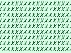 Yuk Uji Seberapa Jeli Mata Menemukan Perbedaan di Foto Ini