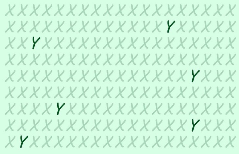 Uji mata cari perbedaan