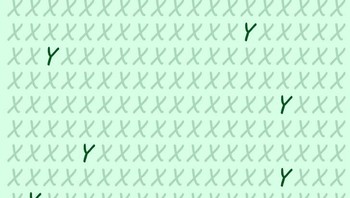 Betul! ada enam huruf Y dalam gambar. Foto: dok Brightsight