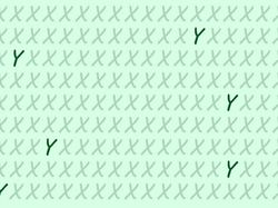 Yuk Uji Seberapa Jeli Mata Menemukan Perbedaan di Foto Ini