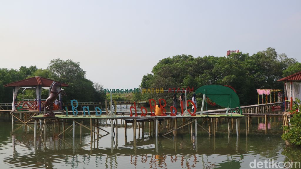 Wisata Hutan Mangrove Glagah Wangi