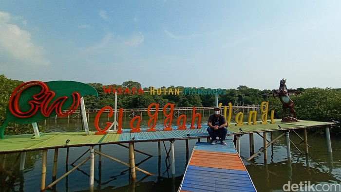 Wisata Hutan Mangrove Glagah Wangi