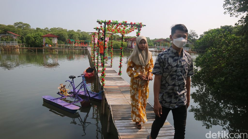 Wisata Hutan Mangrove Glagah Wangi
