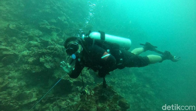 Kenalkan Objek Wisata Pulau Bulu Poloe Bupati Lutim Harap Bisa Dikelola Pemda. Kenalkan Objek Wisata Pulau Bulu Poloe Bupati Lutim Harap Bisa Dikelola Pemda.